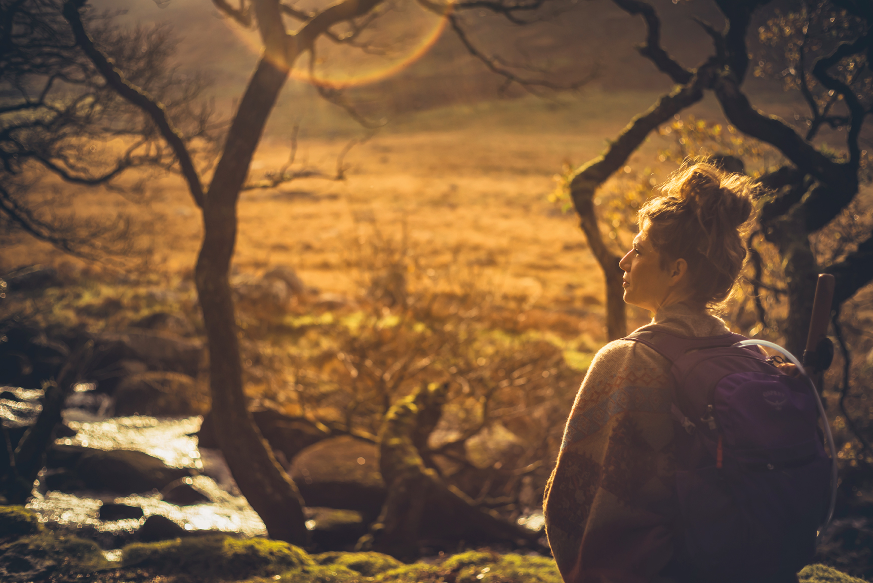 Shamanic energy medicine session with Jessica Bailey in Devon