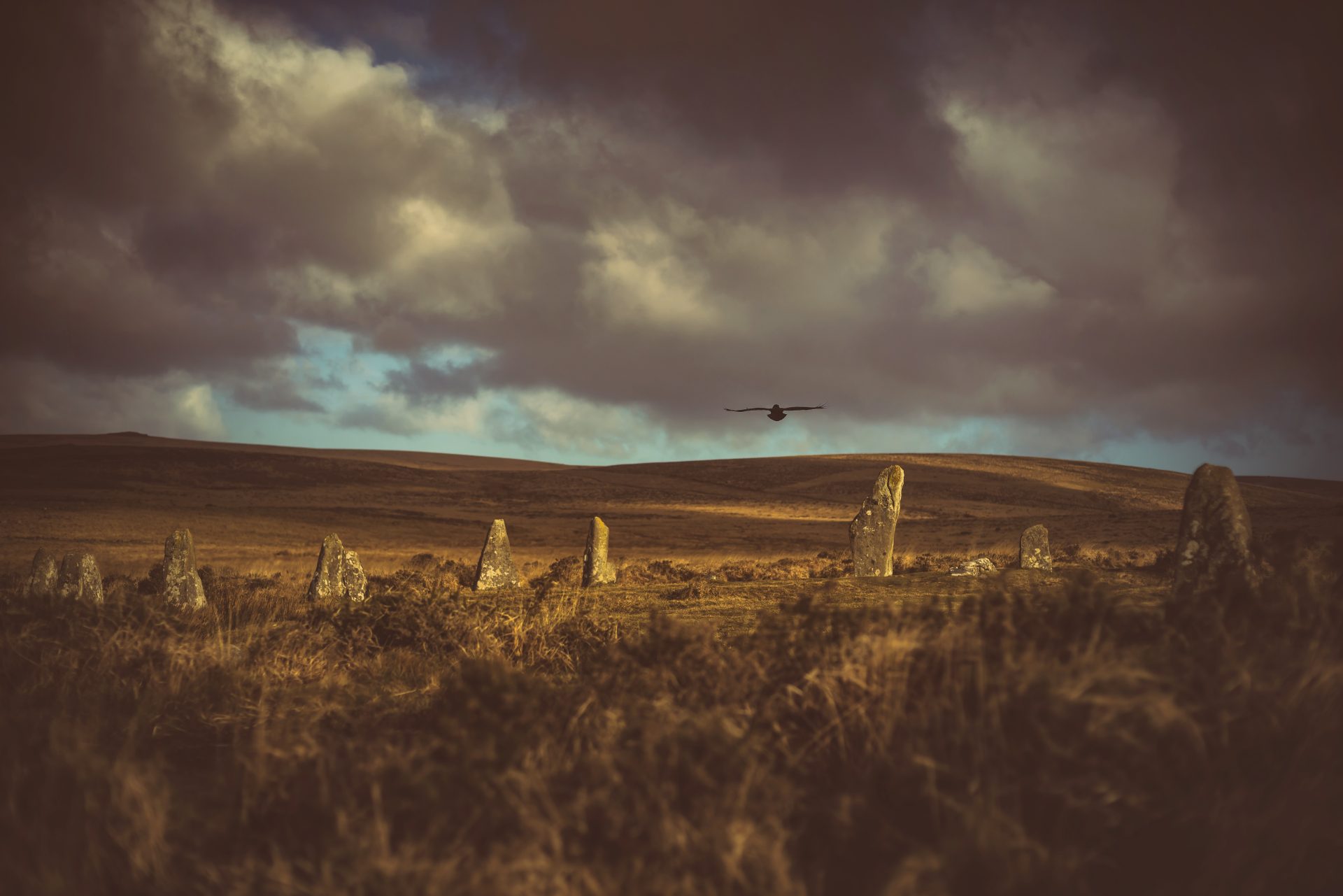 Jessica Bailey in nature, Devon